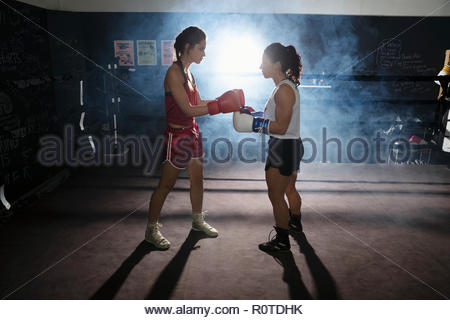 Female boxers training, touching gloves in boxing ring Female boxers training, touching gloves in boxing ring
