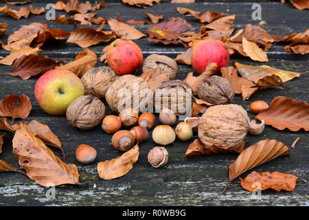 Walnuts, hazelnuts and wild apples mixed with autumn leaves on old, grunge oak table, side view Stock Photo