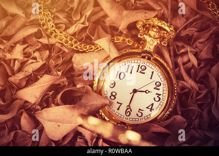 Time concept. Vintage golden pocket watch on weathered leaves in garden with free copy space for text. Vintage or retro filtered. Nostalgia. Stock Photo