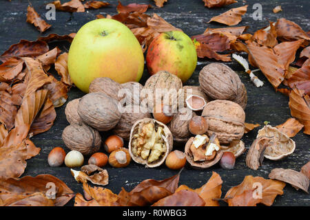 Heap of walnuts and hazelnuts, peeled walnut  with visible cernel and broken shell in foreground and heap of walnuts, hazelnuts, wild apples and autum Stock Photo
