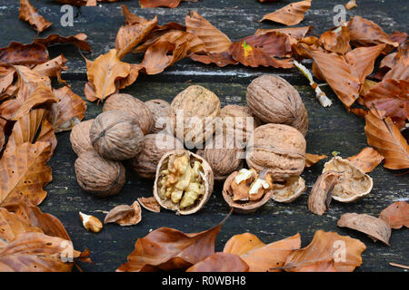 Peeled walnut with visible cernel and broken shell in foreground and heap of walnuts and autumn leaves on old oak table, side view Stock Photo