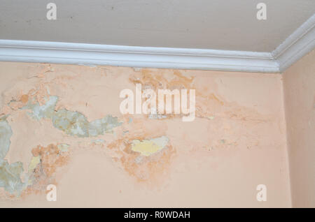 Wall of a room damaged due to moisture Stock Photo - Alamy