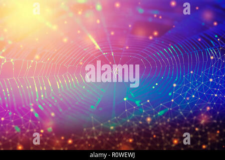 Network connection and technology background concept. Photo of spider web with lines and dots symbol. Stock Photo