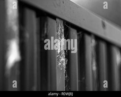 cobwebs on the fence in summer, macro, black and white photo Stock Photo