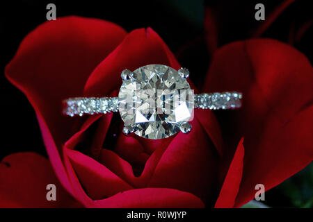 Platinum Diamond Ring On Red Rose (Hearts & Arrows) Stock Photo
