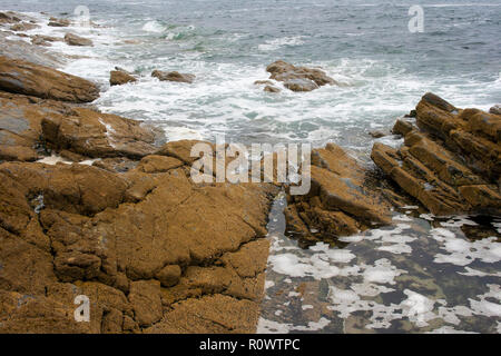 Waves and barnacle covered rocks on the north shore of carlingford Lough in County Down Stock Photo