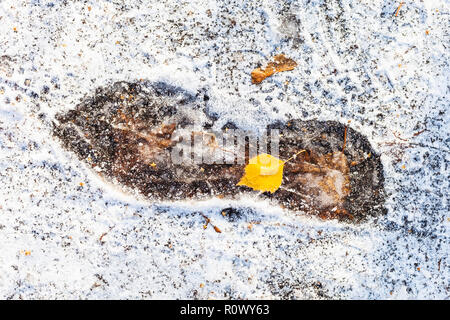 top view of frozen footprint on path covered with the first snow in cold autumn day Stock Photo