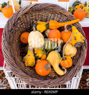 Basket of miniature gourds for sale at a road side stand. Stock Photo