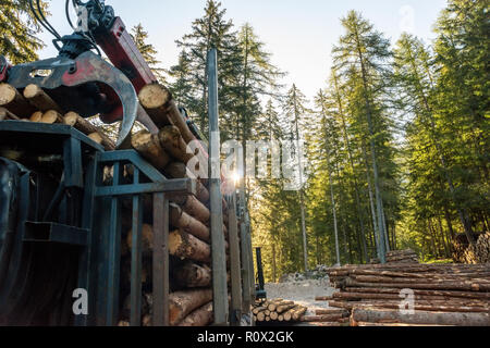 Forklift truck grabs wood in wood processing plant Stock Photo