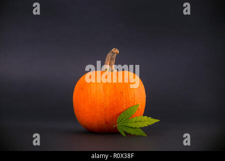 Small pumpkin and marijuana leaf isolated on black background Stock Photo