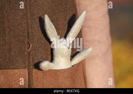 young woman with toy rabbit at fall  park Stock Photo