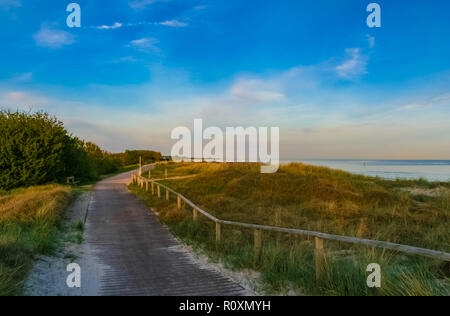 A beautiful landscape view of a wooden, sand covered walkway with handrail, a bench and shrubs along the grass covered dunes at the Baltic Sea on... Stock Photo