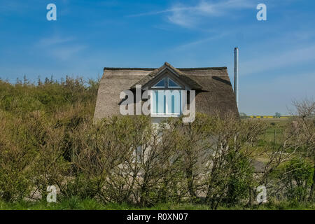 A small house with a dormer, a metal chimney and a typical traditional thatched roof made with dry water reed, is standing behind a shrub on a German... Stock Photo