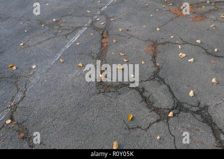 Road in poor condition with cracks. Autumn leaves on the asphalt. Stock Photo