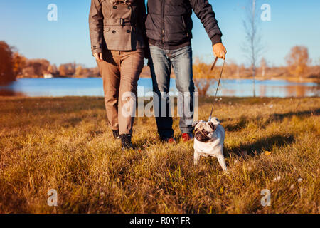 Senior couple walking pug dog in autumn park by river. Happy man and woman enjoying time with pet.