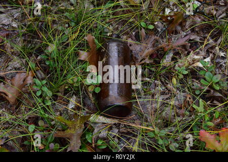 Old medicine or beer bottle found in the sand dunes, at Port Crescent State Park. This was taken in the fall, the greens and browns mix perfectly. Stock Photo