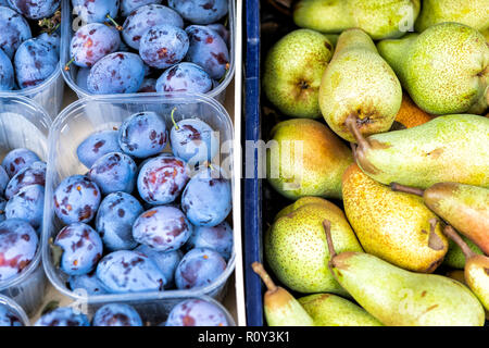 Closeup flat top view of retail display on farmers market of boxes, plastic containers of plums and fresh pears Stock Photo