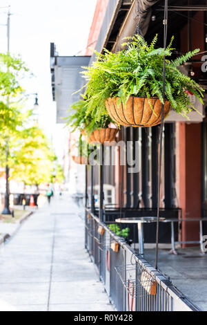 Sidewalk building with hanging baskets green plant southern decoration on sunny spring or summer day in Montgomery, Alabama city in downtown old town, Stock Photo