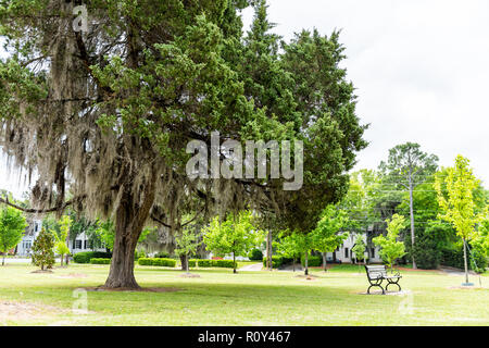 LeGrande park in Montgomery, USA during green spring in Alabama capital city during sunny day with large tree, bench, residential houses Stock Photo