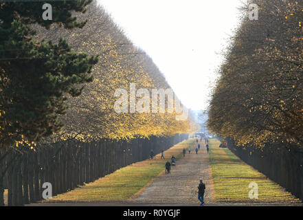 Hannover, Germany. 08th Nov, 2018. Walkers can enjoy the sunshine along the two kilometre long Herrenhäuser Allee. The thermometer in parts of Lower Saxony is to rise to just under 20 degrees Celsius on this warm autumn day. Credit: Holger Hollemann/dpa/Alamy Live News Stock Photo