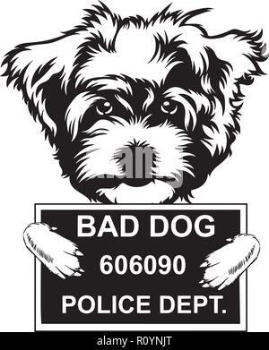 Maltese Dog Breed Head Isolated Pedigree Pet Portrait Smiling Happy Puppy Face Animal Cartoon Illustration Portrait Art Artwork Cute Design Stock Vector
