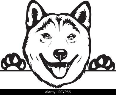 Shiba Inu Pedigree Dog Breed Head Isolated Pet Portrait Smiling Happy Puppy Face Animal Cartoon Illustration Portrait Art Artwork Cute Design Stock Vector