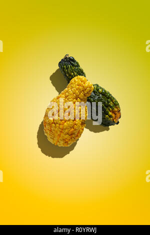 Crookneck squash (yellow squash) and zucchini on yellow background, studio still life Stock Photo