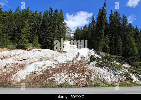 Snow slide on #93.  Banff  to Jasper Highway Highway, Alberta, Canada Stock Photo