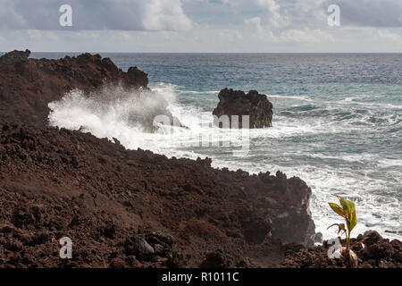 Pahoa, Hawaii - Cooled lava from the 2018 eruption of the Kilauea volcano. This lava flow destroyed over 700 homes in the Puna District and created hu Stock Photo