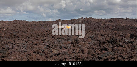 Pahoa, Hawaii - Trucks traverse a road being built on cooled lava from the 2018 eruption of the Kilauea volcano. This lava flow destroyed over 700 hom Stock Photo