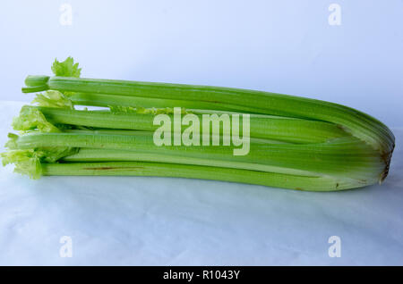 Celery (Apium graveolens var. dulce) on white background Stock Photo