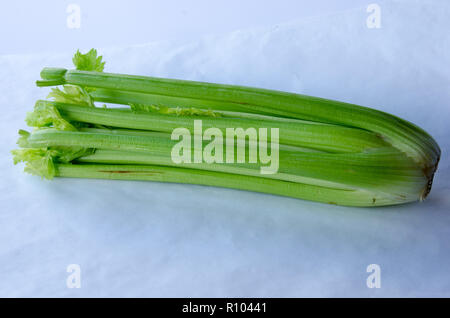 Celery (Apium graveolens var. dulce) on white background Stock Photo