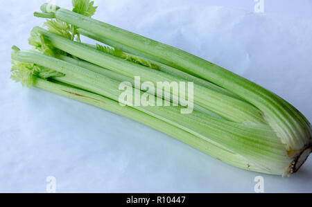 Celery (Apium graveolens var. dulce) on white background Stock Photo