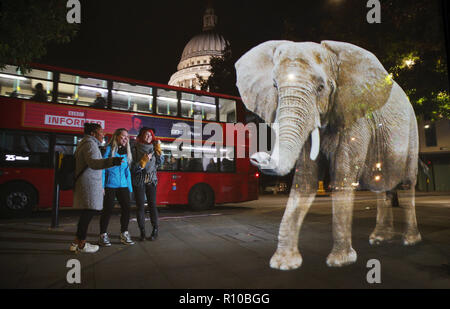 WWF Hologram - Elephant crosses the road in London  It's time to address the elephant in the road. WWF uses hologram and imaginative animal crossings to show Londoners how they can prevent illegal wildlife trafficking.  Featuring: Atmosphere Where: London, United Kingdom When: 08 Oct 2018 Credit: Joe Pepler/PinPep/WENN.com Stock Photo