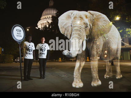 WWF Hologram - Elephant crosses the road in London  It's time to address the elephant in the road. WWF uses hologram and imaginative animal crossings to show Londoners how they can prevent illegal wildlife trafficking.  Featuring: Atmosphere Where: London, United Kingdom When: 08 Oct 2018 Credit: Joe Pepler/PinPep/WENN.com Stock Photo