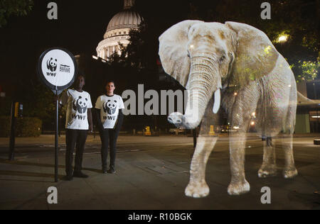 WWF Hologram - Elephant crosses the road in London  It's time to address the elephant in the road. WWF uses hologram and imaginative animal crossings to show Londoners how they can prevent illegal wildlife trafficking.  Featuring: Atmosphere Where: London, United Kingdom When: 08 Oct 2018 Credit: Joe Pepler/PinPep/WENN.com Stock Photo