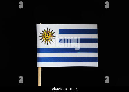 A original and official flag of Uruguay on toothpick on black background. Consists of nine horizontal stripes of white alternate with light blue with  Stock Photo