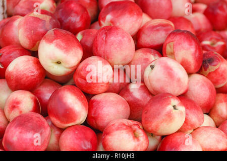 bright nectarines in the market Stock Photo