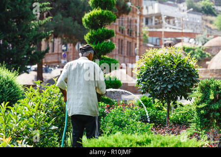 Senior man watering flowers in the city park Stock Photo