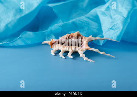 Sea blue silk background with shells Stock Photo - Alamy