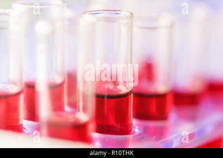 Test tubes Close up arranged in medical laboratory. Medical healthcare analysis Immunity viruses Concept. Stock Photo