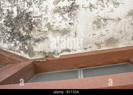 Mold and moisture buildup on a ceiling. Peeling paint, indicating damp. Ideal for concepts and backgrounds. Stock Photo
