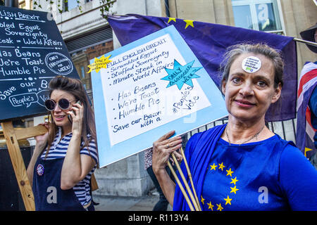 Witty full English Brexit sign. 20 Oct 2018 London, UK. 20th October, 2018. People's Vote march for new Brexit referendum. Stock Photo