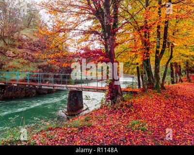 Stunning Red Autumn Fall nature scenery flowing river small bridge falling leaves from numerous tree along riverline Lukezi near Rijeka in Croatia Stock Photo