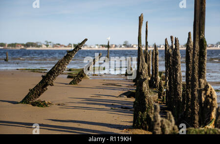 View through a corridor of decaying wood pilings at Dead Horse Bay. Roxbury community on the Rockaway Peninsula is in the distance. Stock Photo