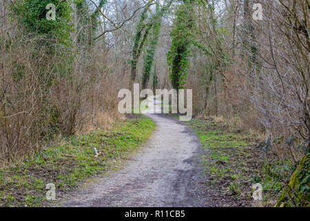 Footpath in a forest during spring. Location: River Seine Bank, France. Stock Photo