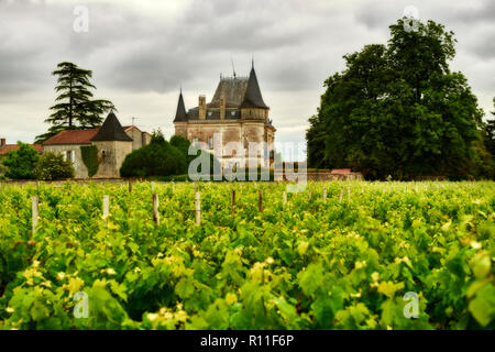 Château Lamothe-Cissac, Aquitaine, Gironde, Medoc, France Stock Photo
