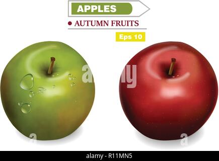 Realistic background Vector. Red and green fruits banner Stock Vector