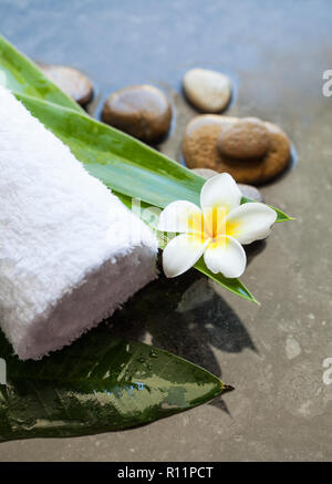 Spa background with green leaves, flowers and stones on black Stock Photo