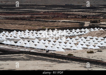 Natural salt evaporation pond on the island of Lanzarote at Salinas de Janubio, Canary Islands, Spain Stock Photo